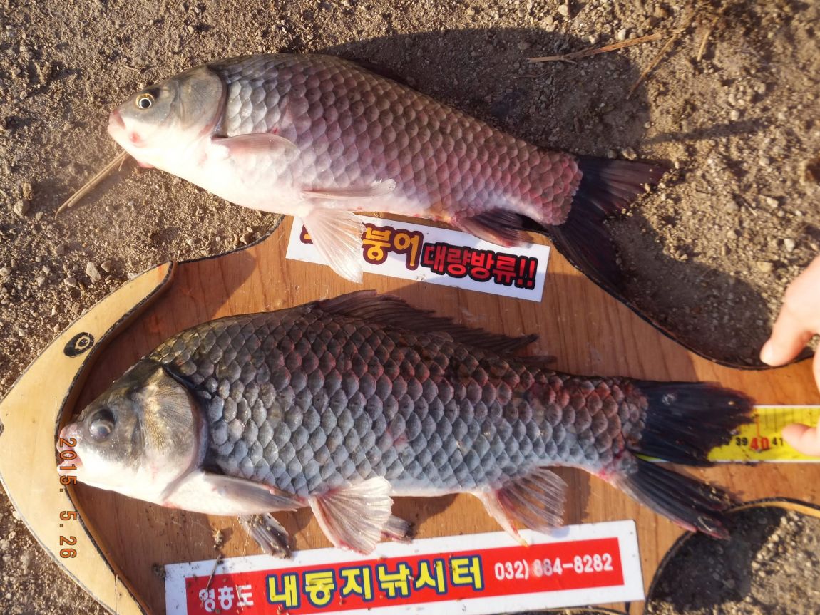 201300703 133.jpg