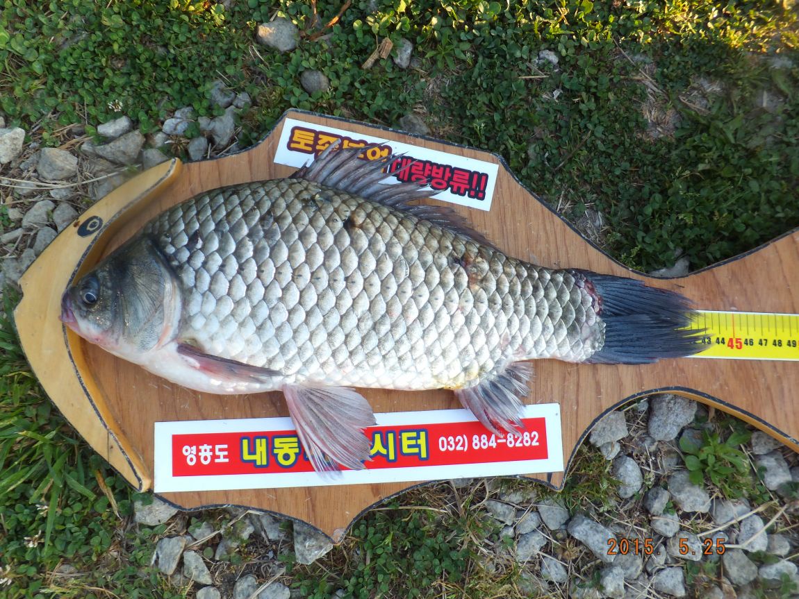201300703 117.jpg