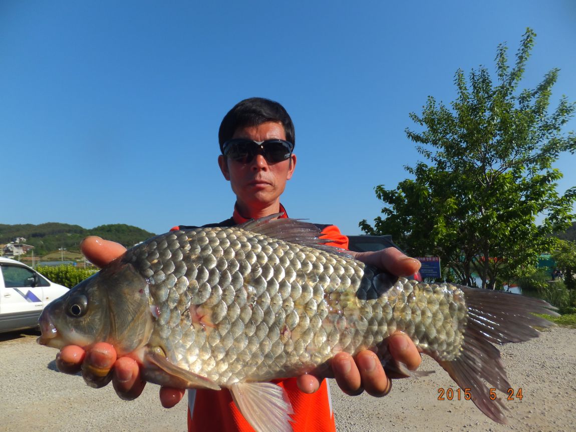 201300703 113.jpg