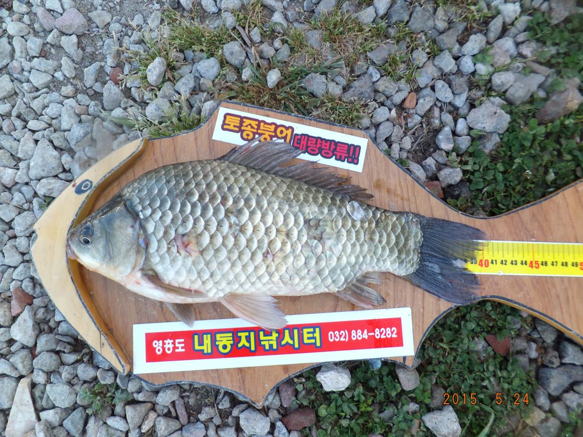 201300703 112.jpg