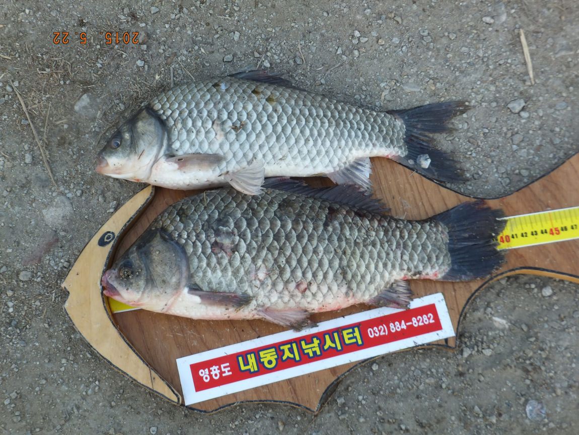 201300703 005.jpg