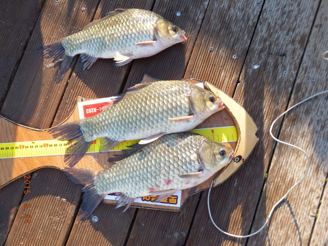 201300703 110.jpg