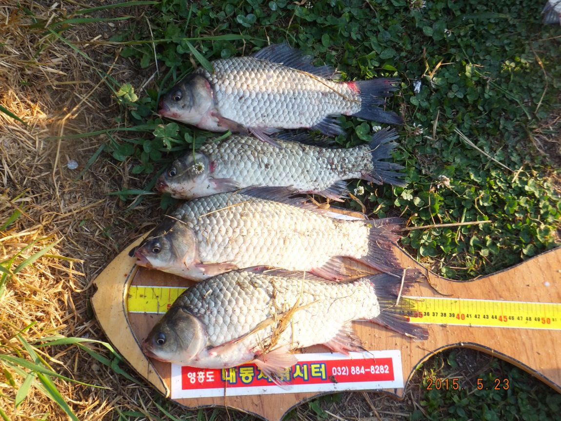 201300703 021.jpg