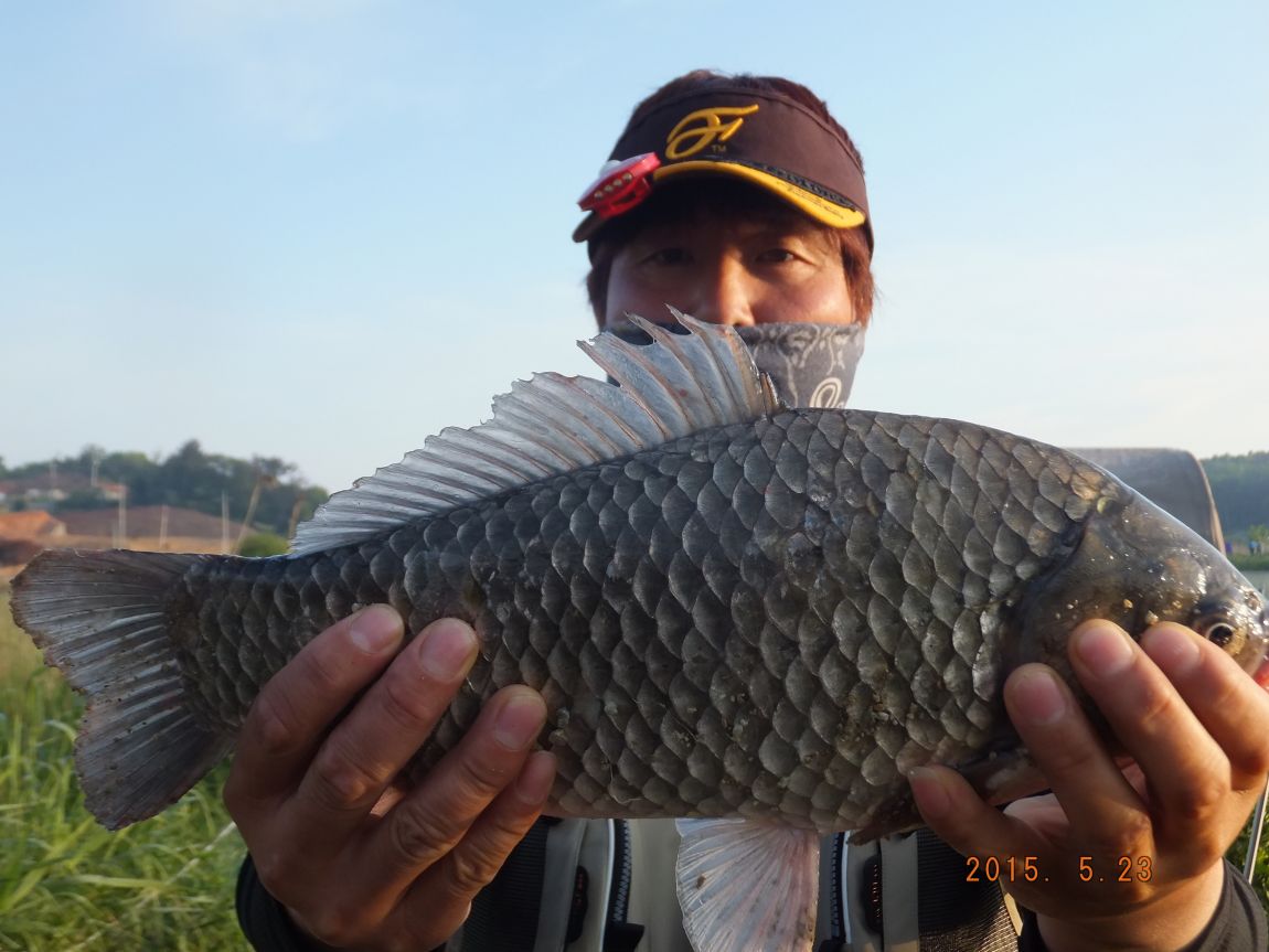 201300703 015.jpg