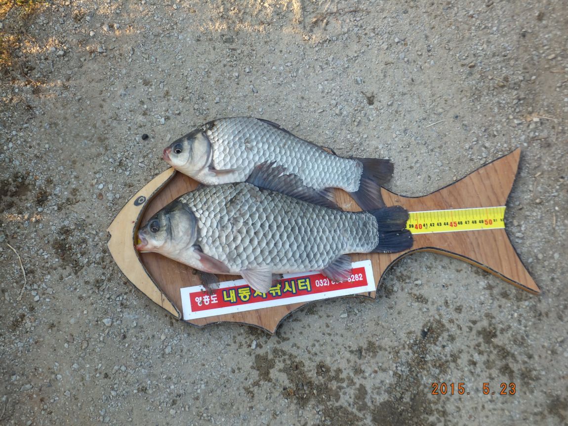 201300703 014.jpg