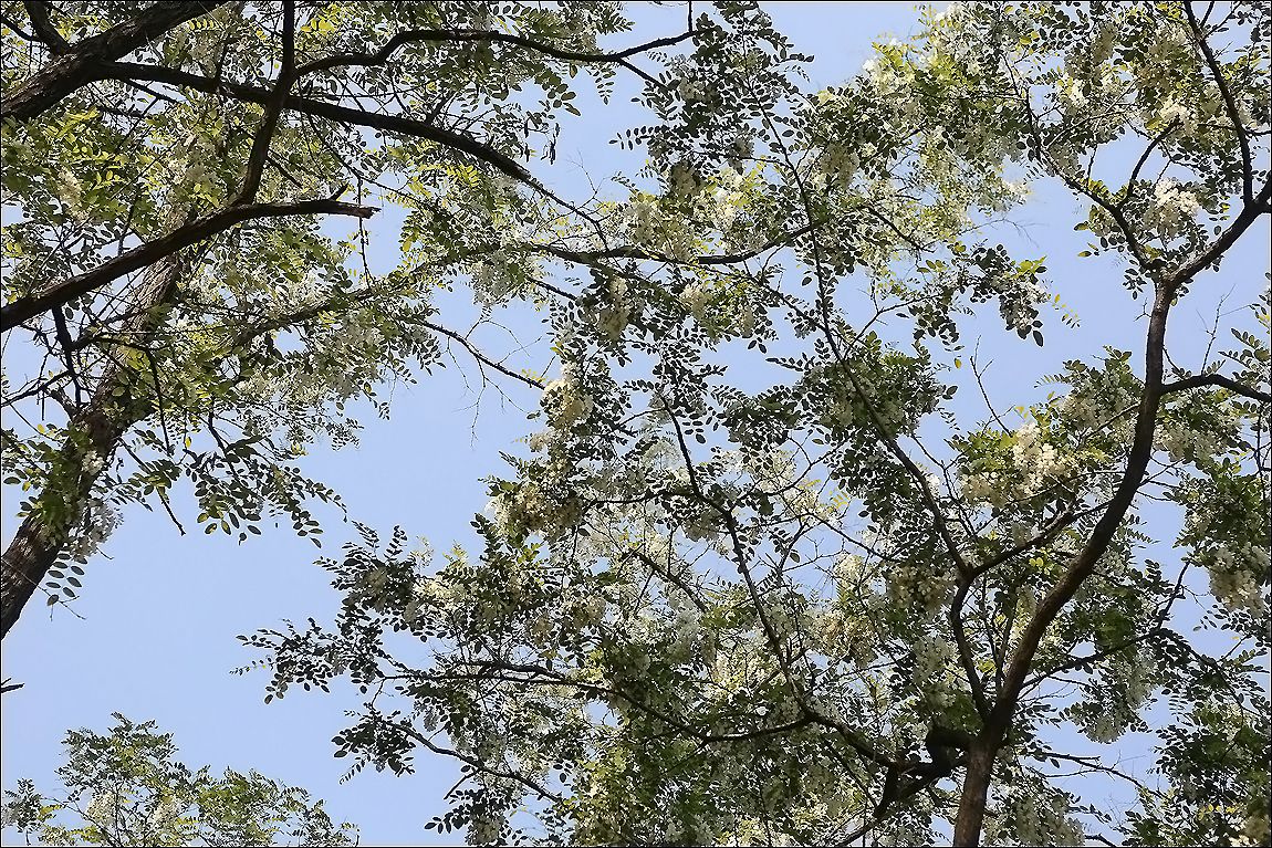 AQ8C2457.JPG