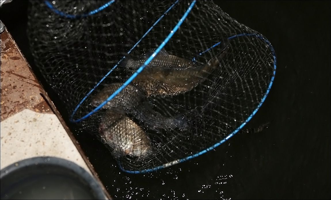 AQ8C3221.JPG