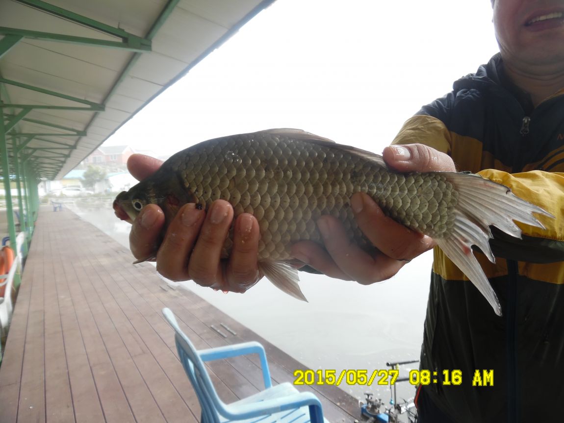 5��26~27 006.JPG