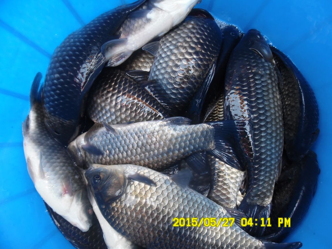 5��26~27 013.JPG