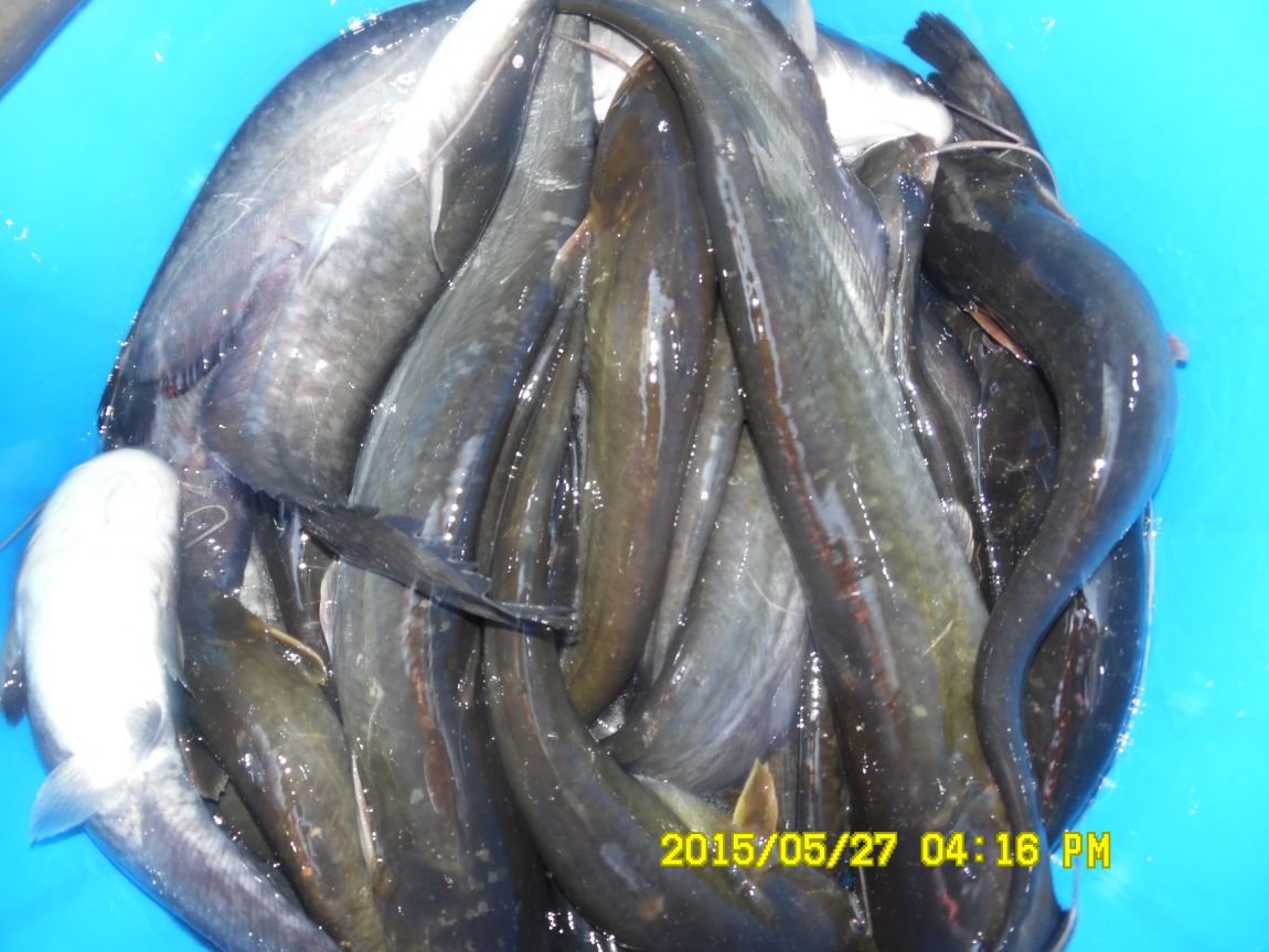 5��26~27 016.JPG