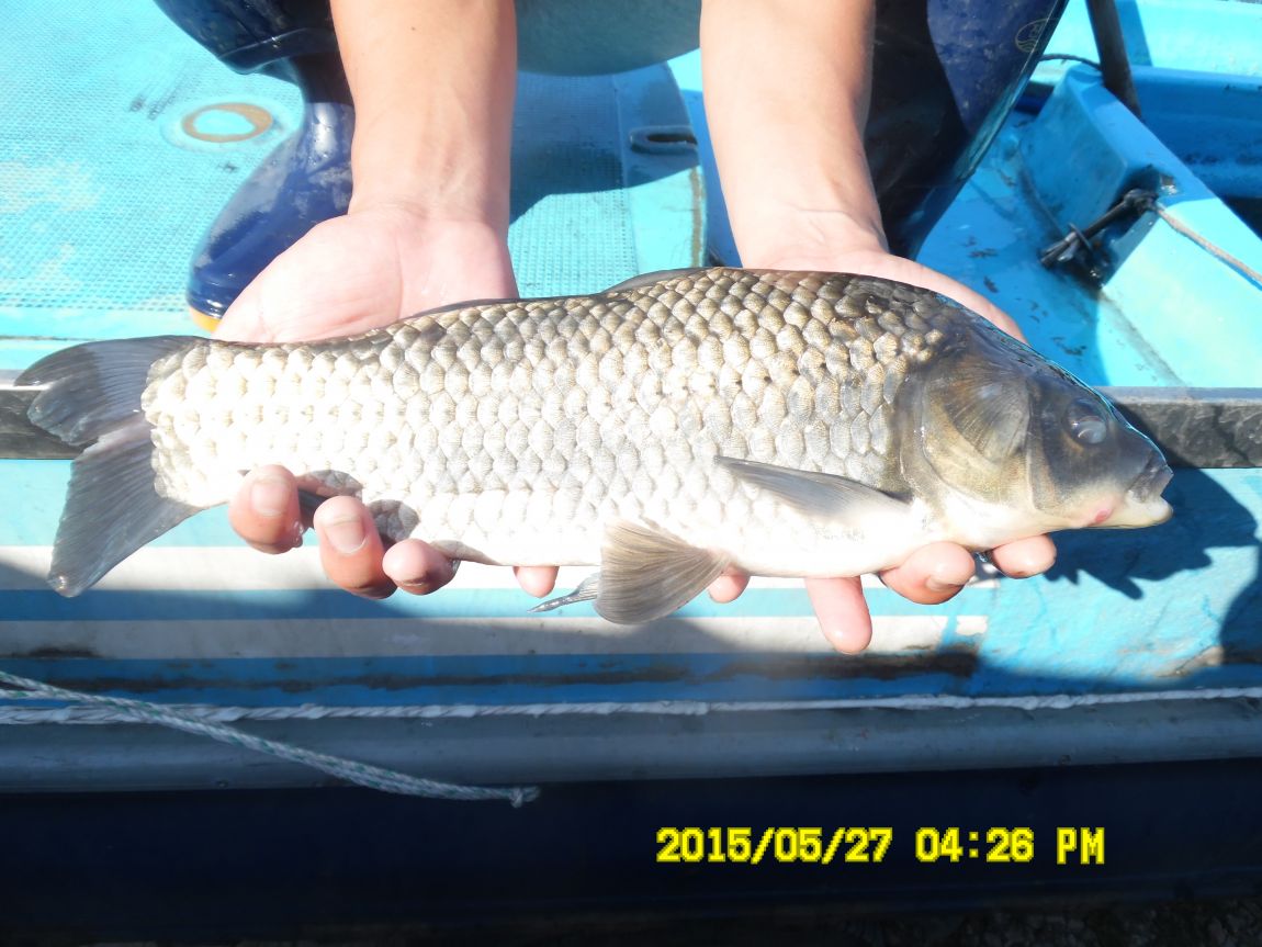 5��26~27 021.JPG