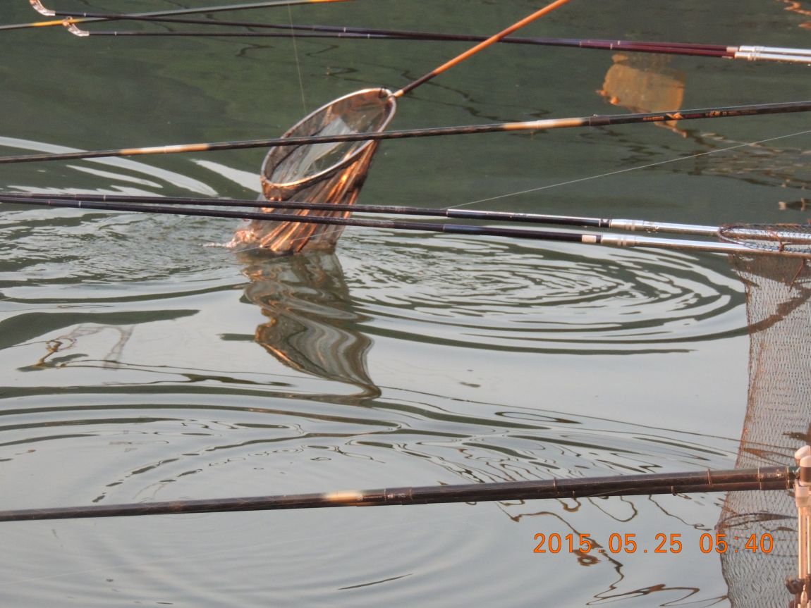 DSCN6214.JPG