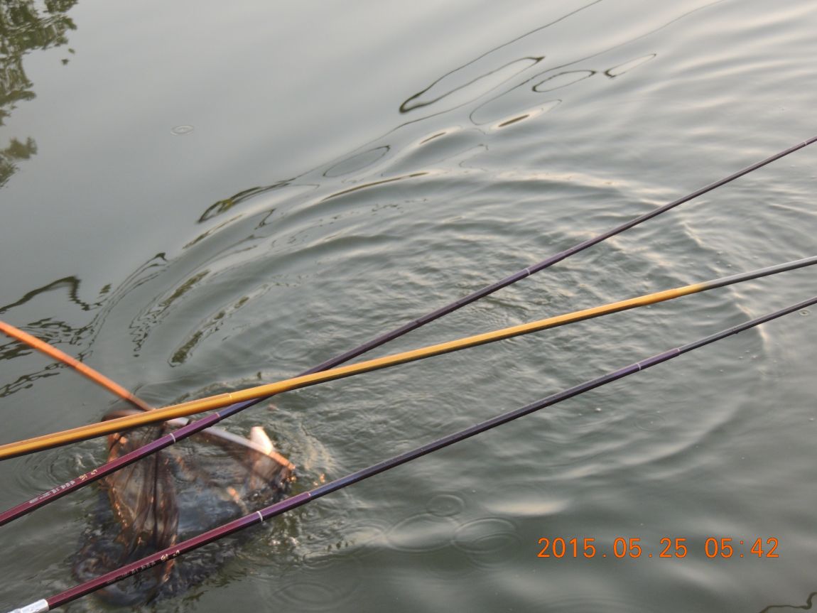 DSCN6216.JPG