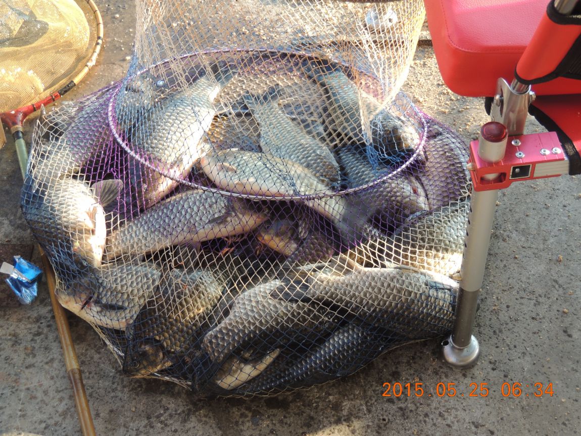 DSCN6223.JPG