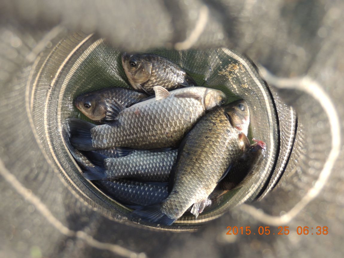 DSCN6225.JPG