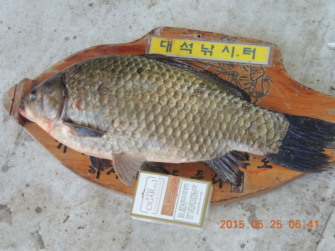 DSCN6226.JPG