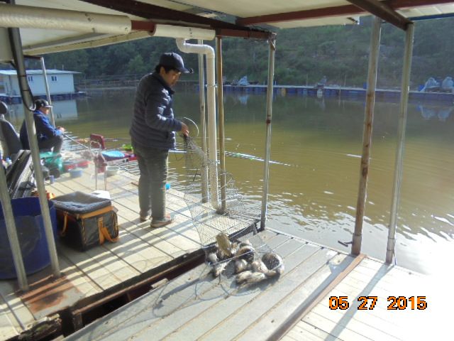 DSC01909.JPG
