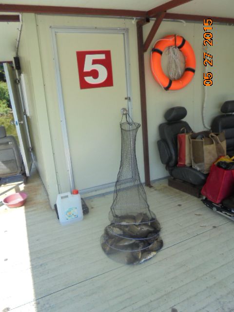 DSC01918.JPG