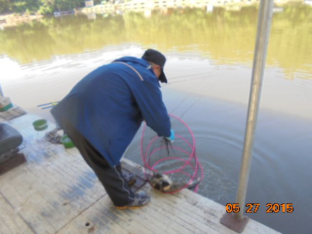 DSC01915.JPG