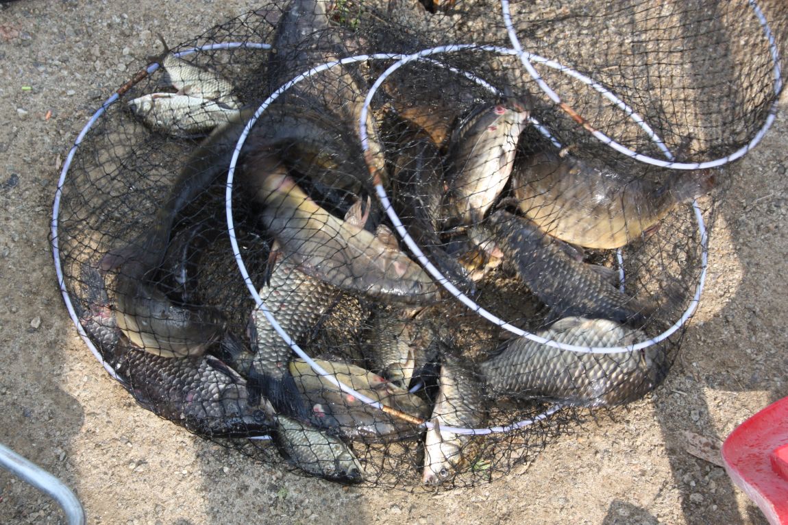 5��28�� 005.JPG