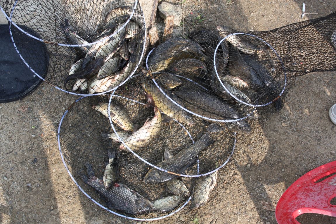 5��28�� 006.JPG