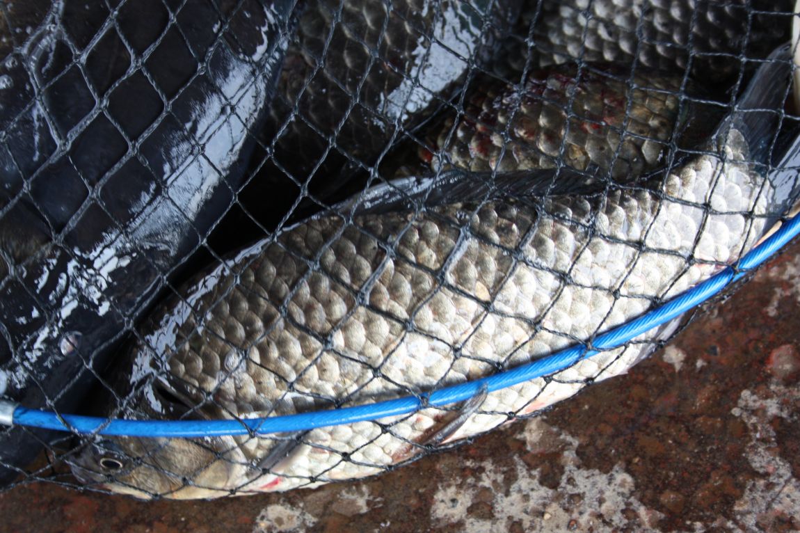 5��28�� 012.JPG