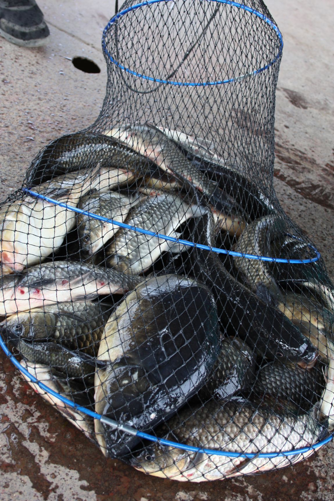 5��28�� 010.JPG