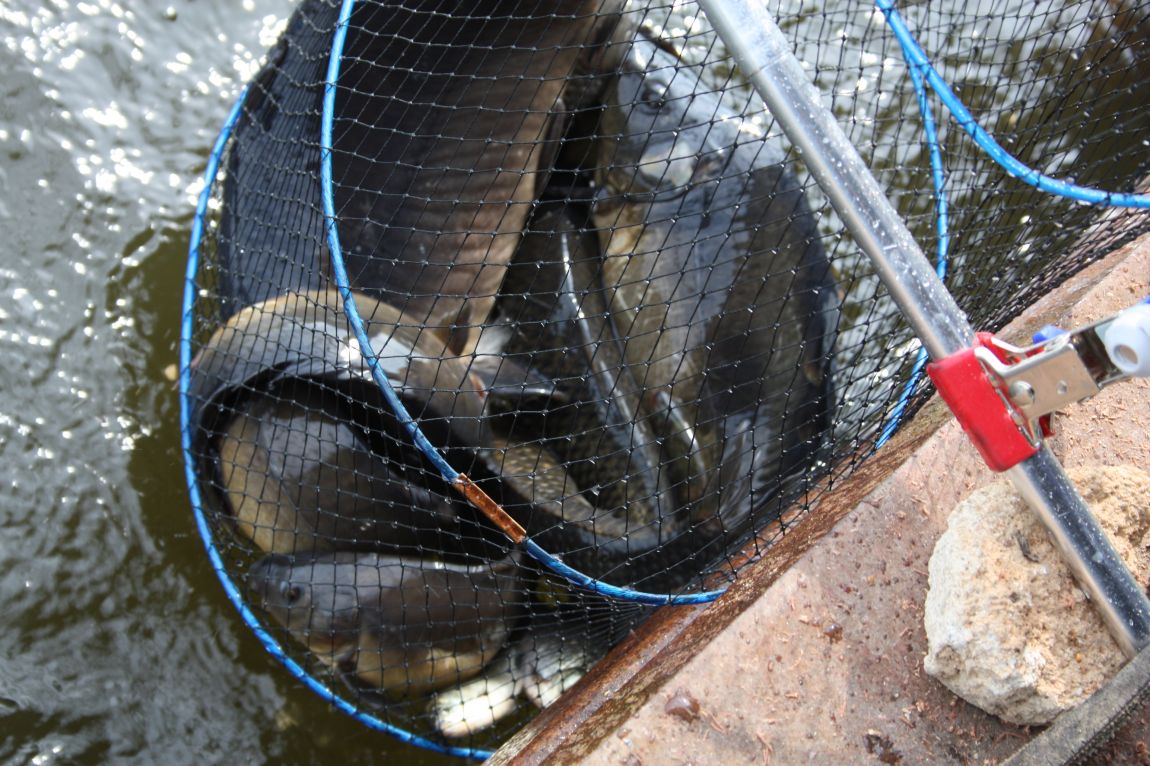 5��28�� 015.JPG