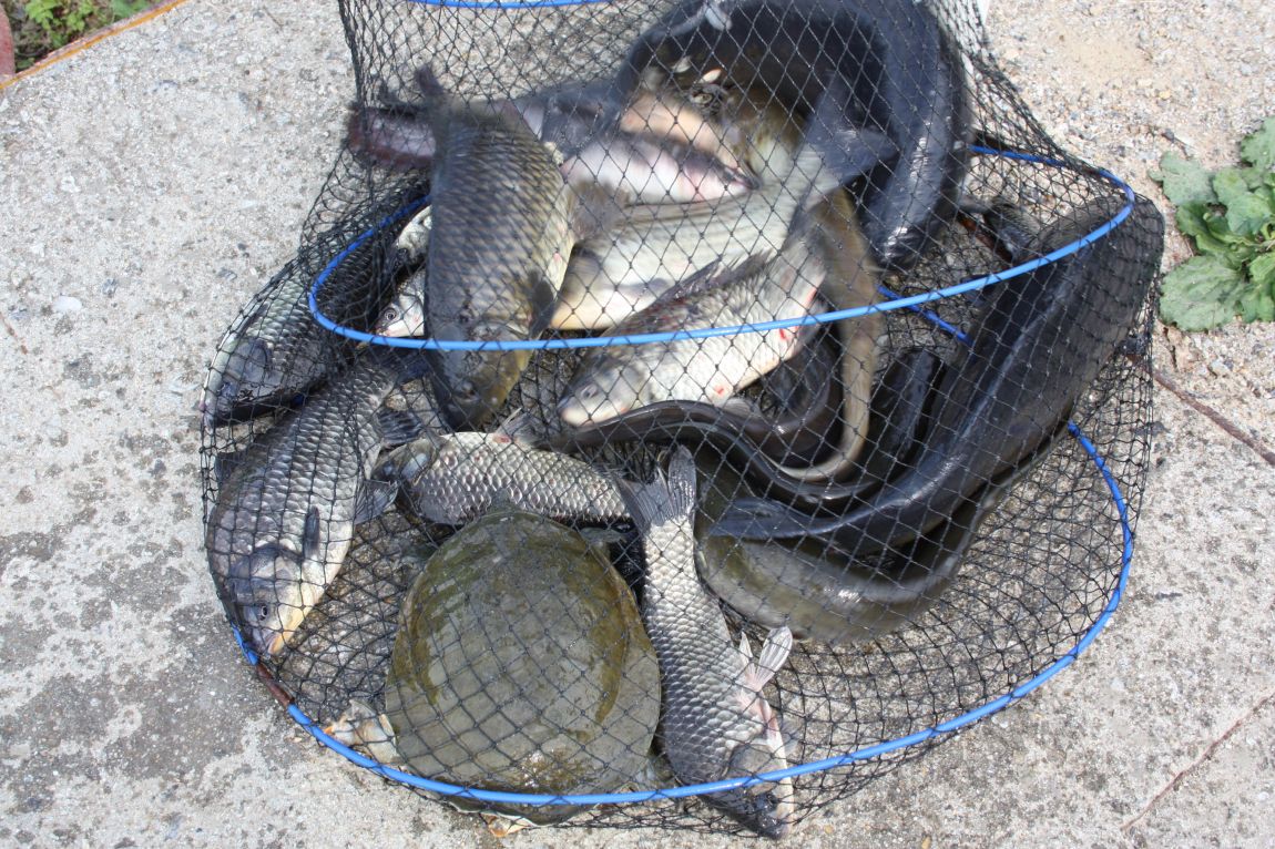 5��28�� 018.JPG