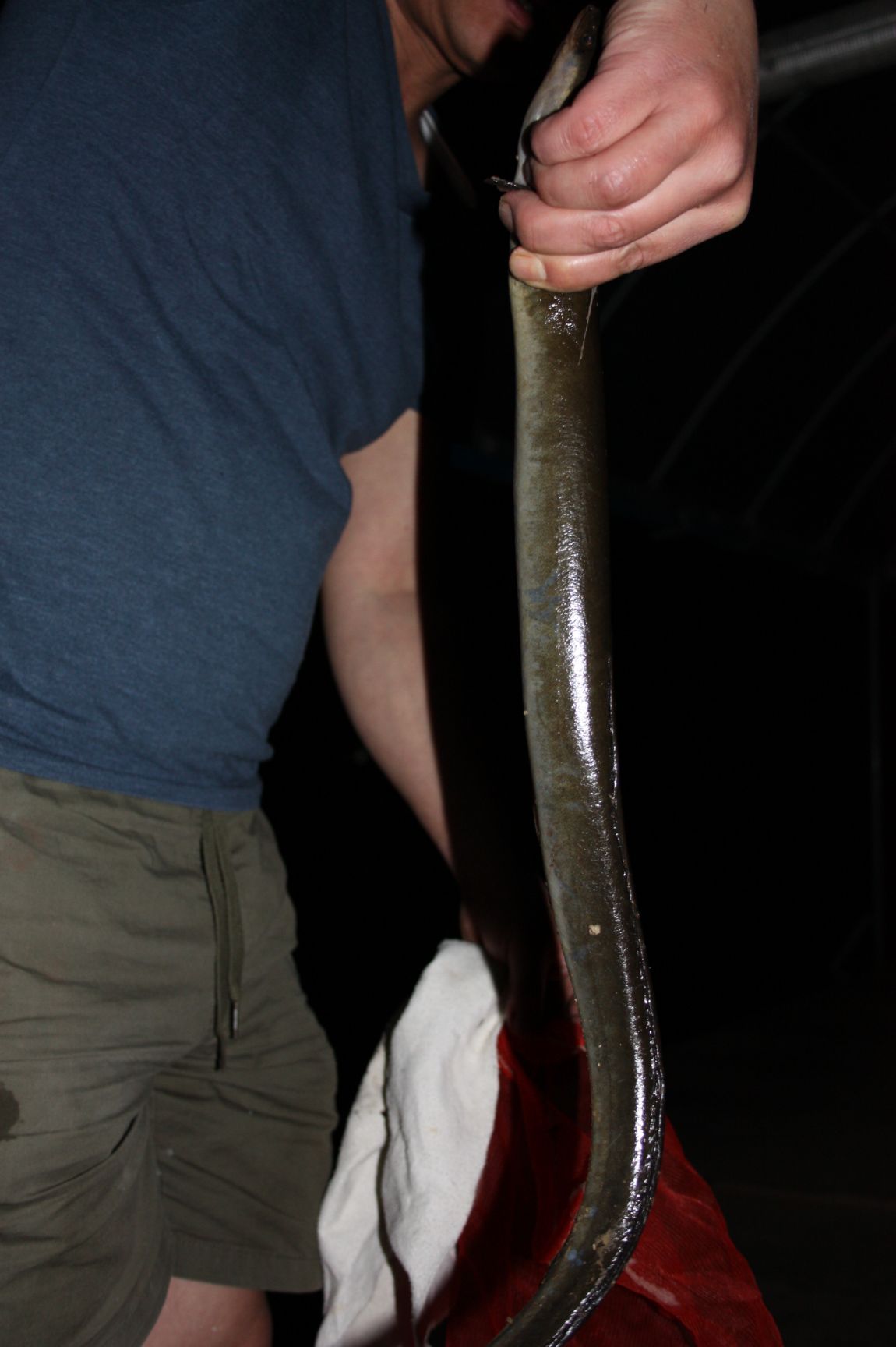 5��28�� 003.JPG