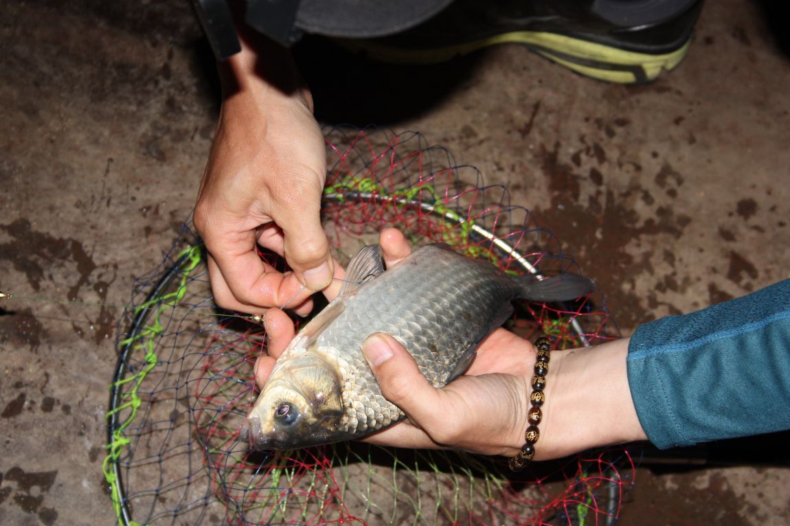 5��28�� 004.JPG