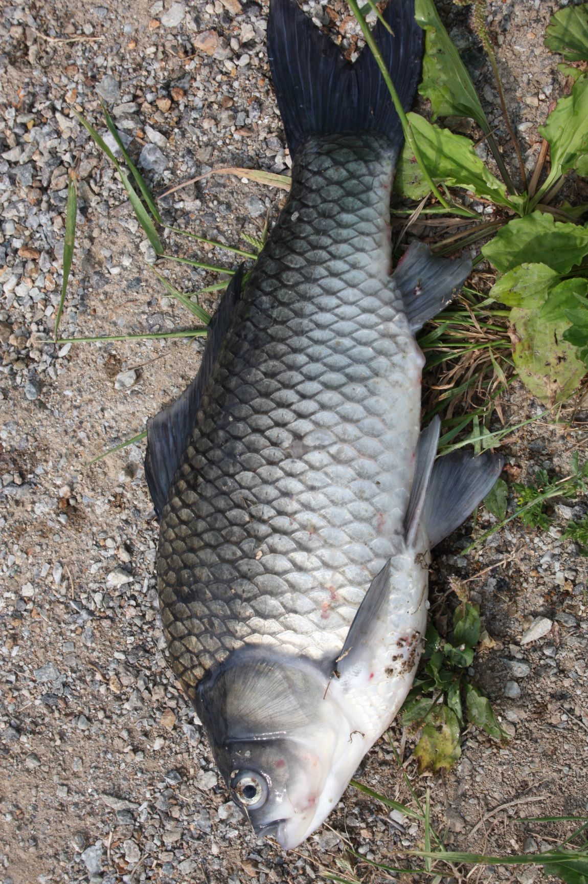 5��28�� 016.JPG