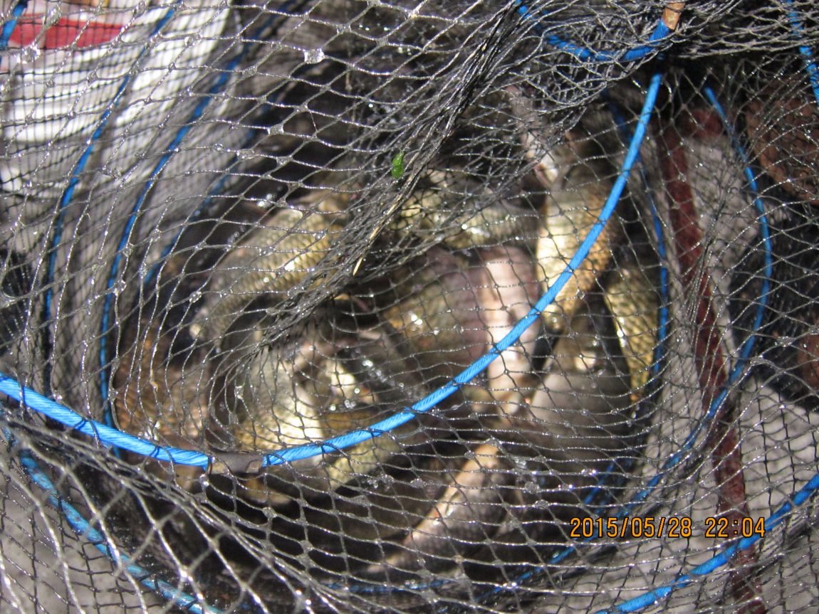 5��28�� 027.JPG