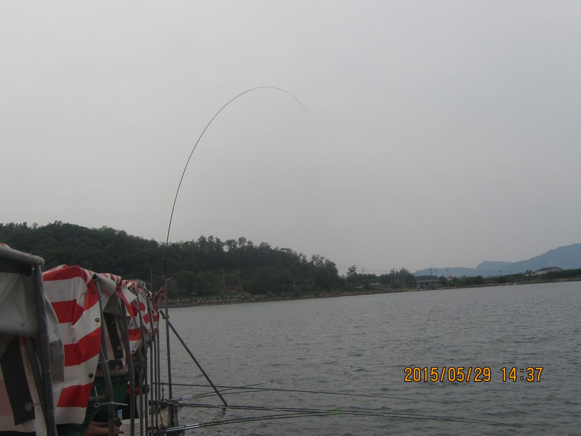 5��28�� 008.JPG