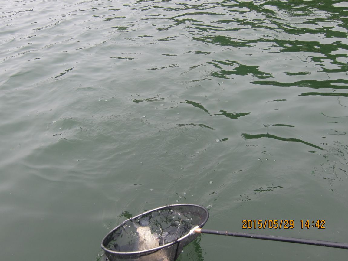 5��28�� 009.JPG