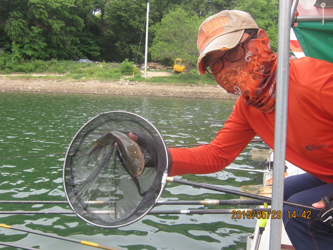 5��28�� 010.JPG