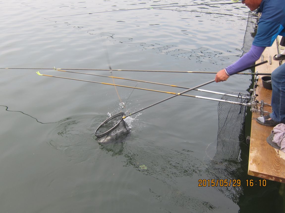 5��28�� 013.JPG