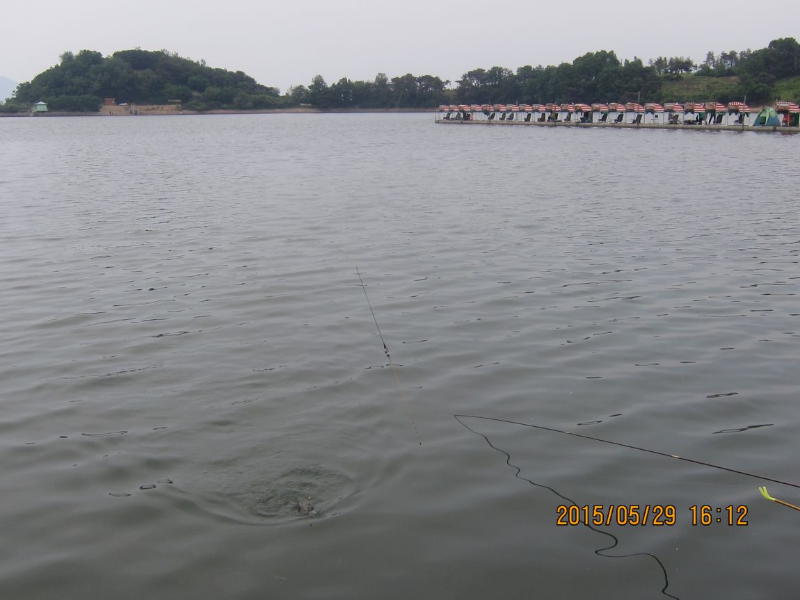 5��28�� 015.JPG