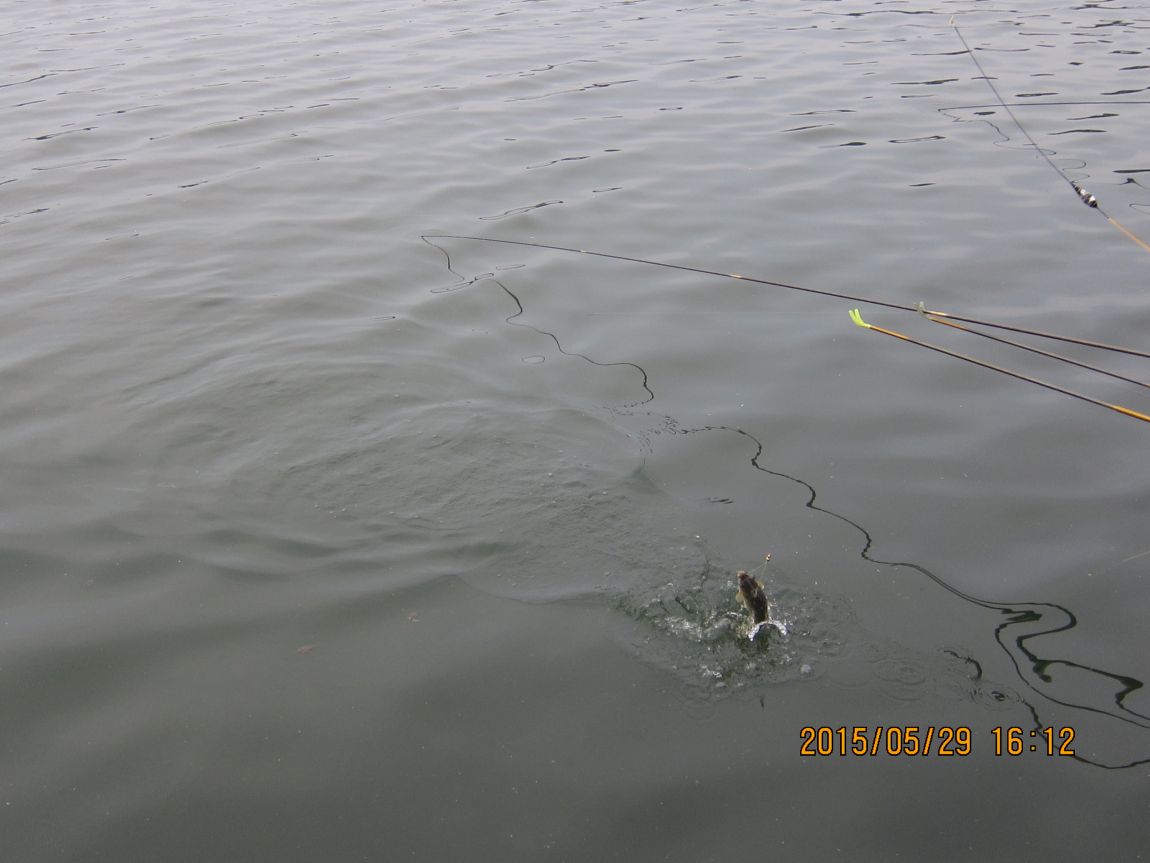 5��28�� 016.JPG