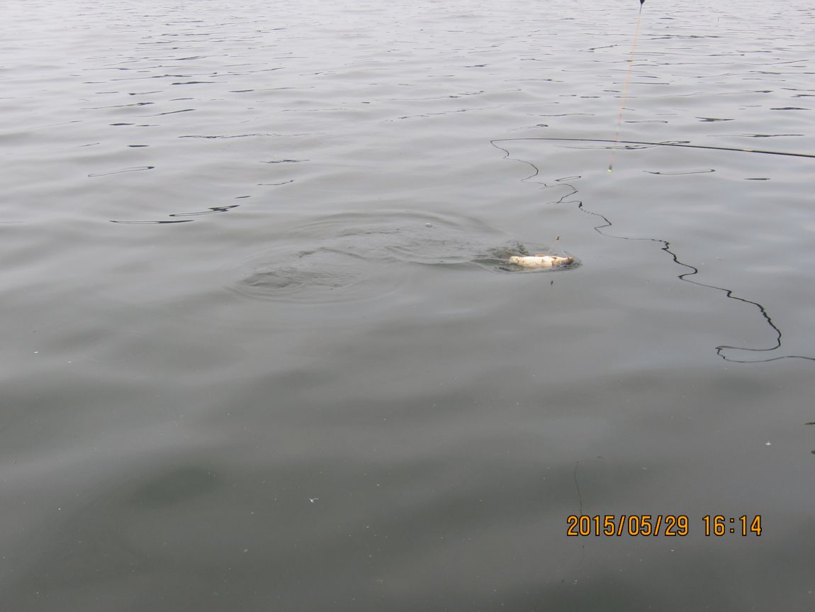 5��28�� 018.JPG