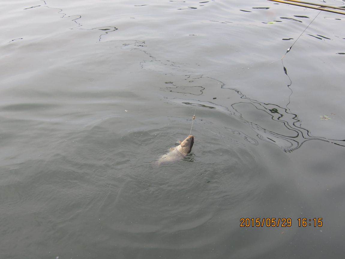 5��28�� 019.JPG