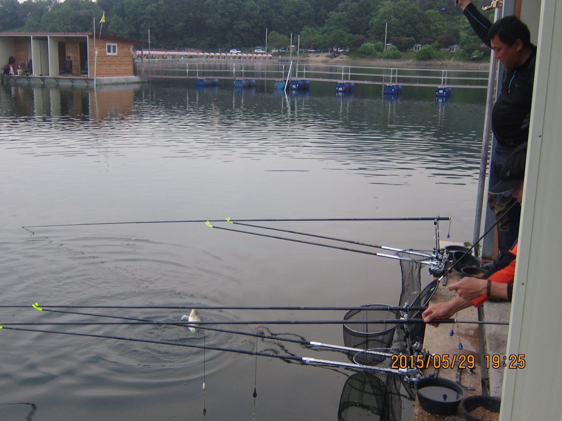 5��28�� 034.JPG