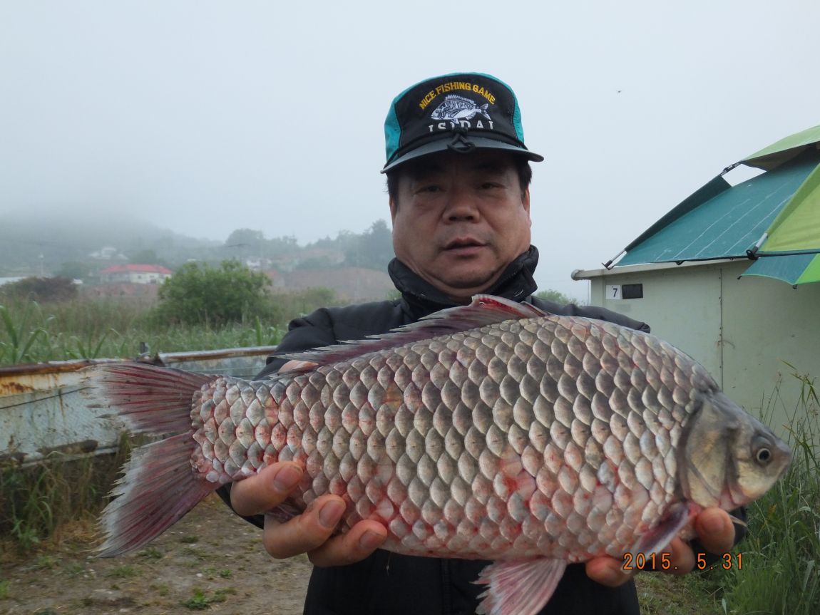 201300703 097.jpg
