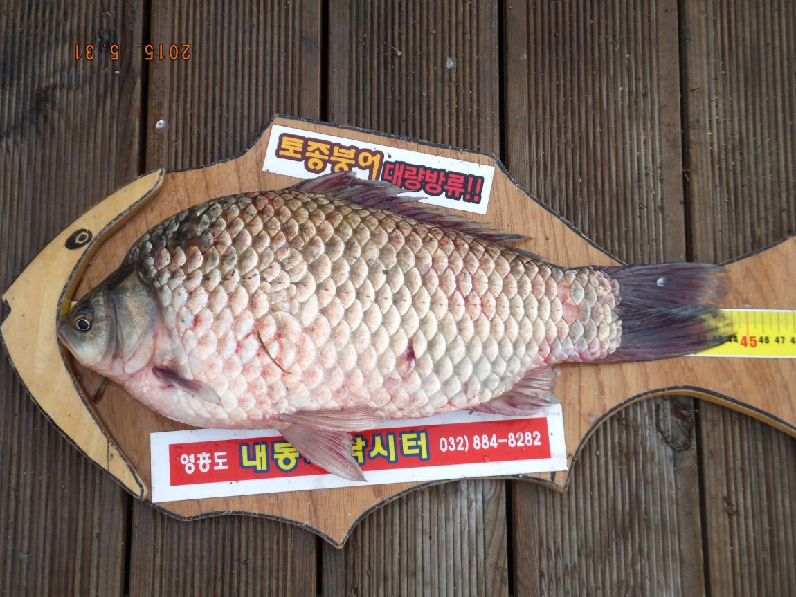 201300703 095.jpg