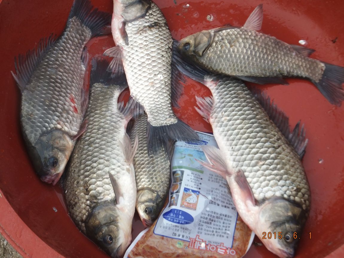 201300703 126.jpg