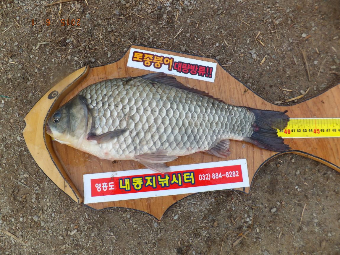 201300703 142.jpg