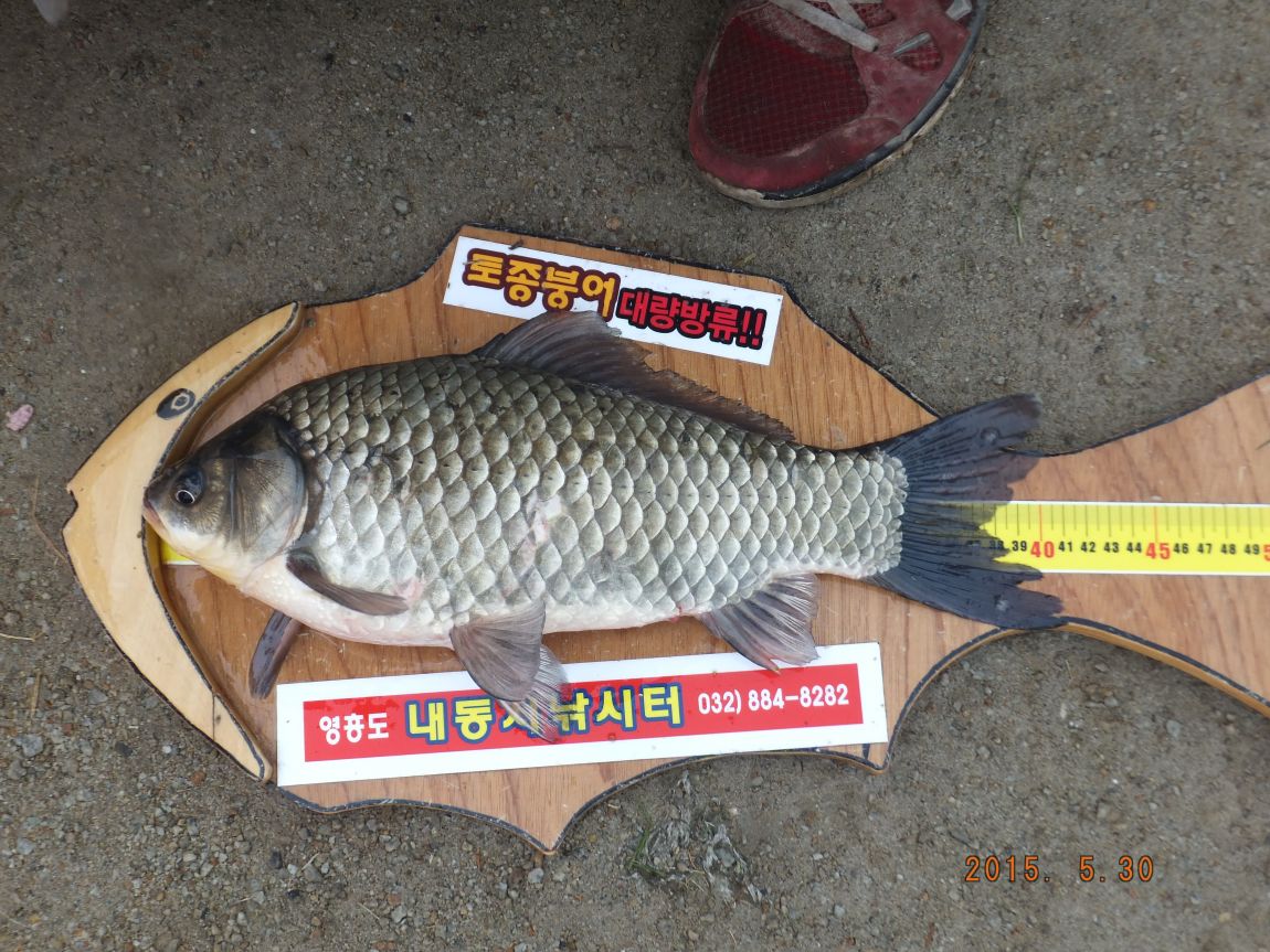 201300703 005.jpg