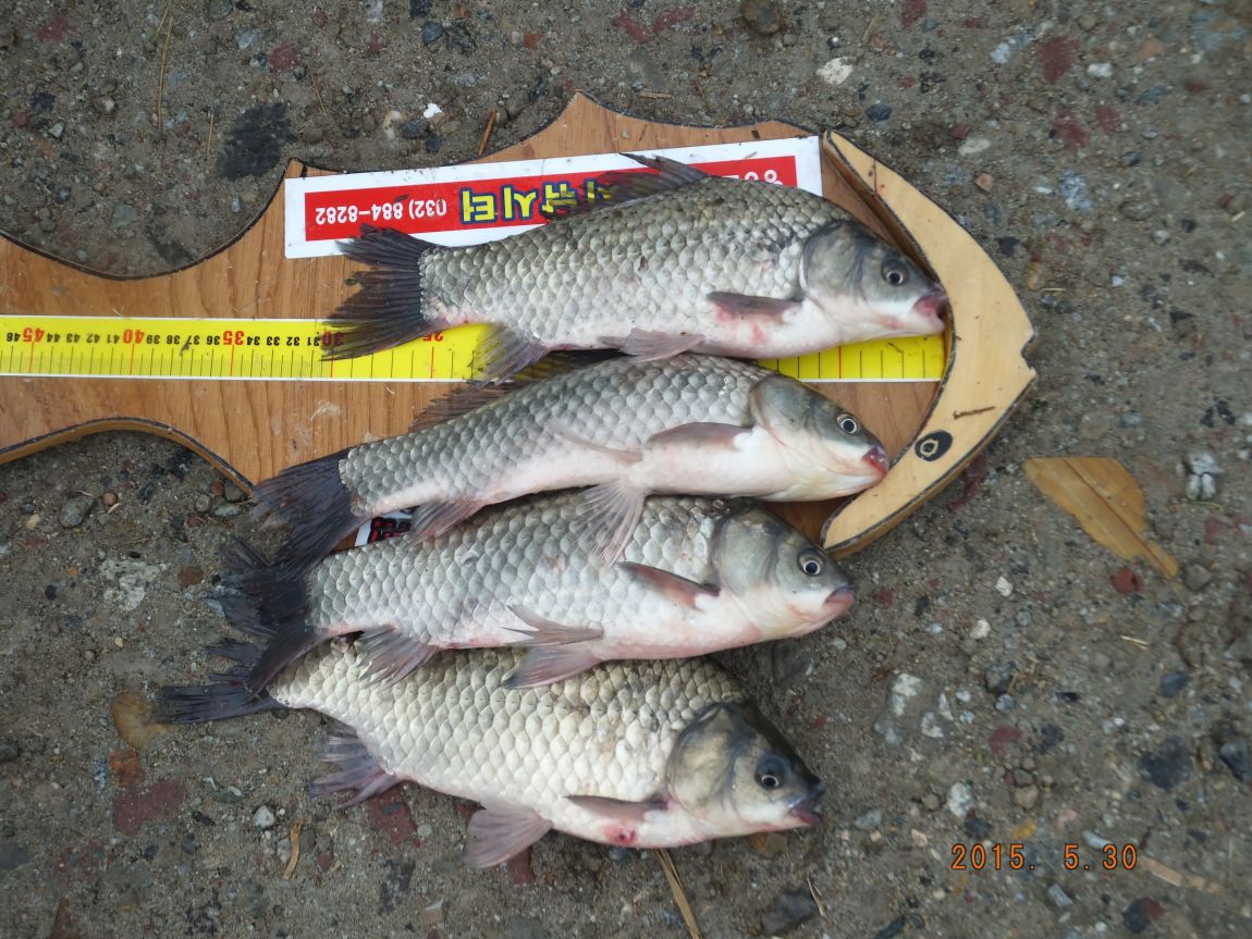 201300703 003.jpg