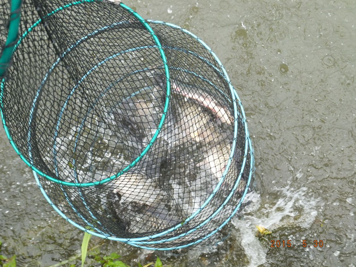 201300703 009.jpg