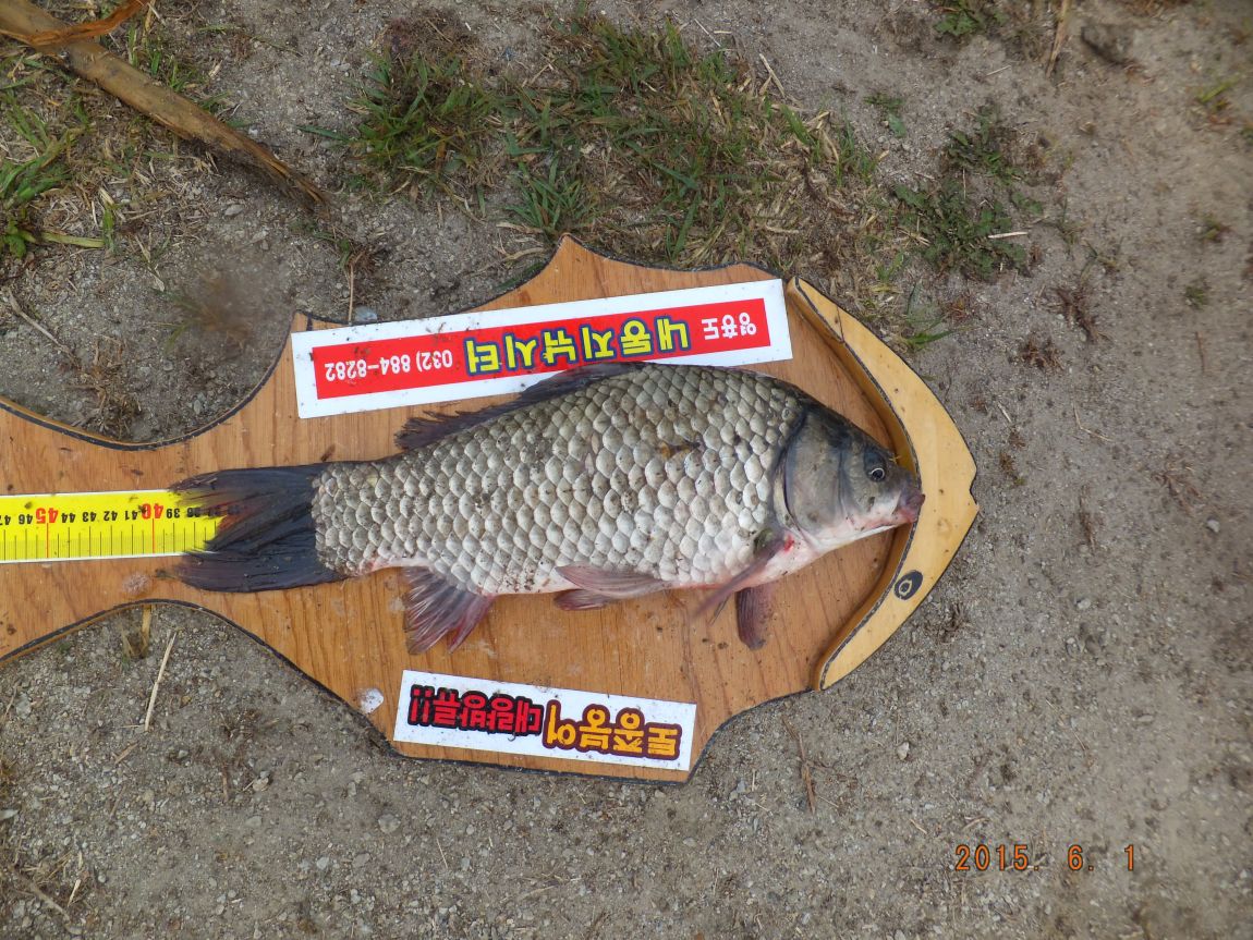 201300703 146.jpg